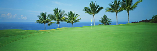 Hawaii, Big Island, Kona Country Club, Mauka Front hole#2, panoramic