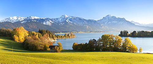 View over Lake Forggensee to the Alps, Allgau, Bavaria, Germay, Europe