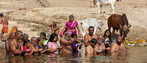 Indian Hindu men and women bathing and praying in the River Ganges by Kshameshwar Ghat in holy city of Varanasi, India