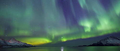 Aurora Borealis spectacular Northern Lights green and purple curtain effect and Venus star at Grotfjord, Kvaloya island, Tromso, Arctic Circle, Northern Norway