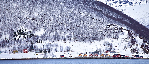 Homes and fishing huts  in hamlet across fjord from Sandneshamnvegen 862 on Kvaloya Island, Tromso, Arctic Circle, Northern Norway