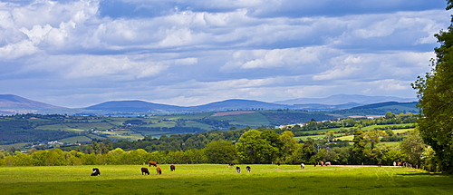 Distant view of Knockmealdown Mountains at Glengoura, County Cork, Ireland