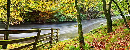 River Dart, Dartmoor National Park, Devon, England, United Kingdom, Europe