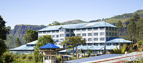 Blue Field tea factory, near Nuwara Eliya, Central Province, Sri Lanka, Asia