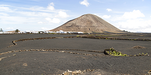 Volcano cone and black volcanic soil farmland, Monta Tinache, near Tinajo, Lanzarote, Canary Islands, Spain, Atlantic, Europe