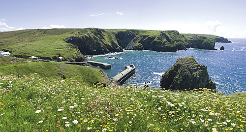 Mullion Cove and the Cornish coast, Cornwall, England, United Kingdom, Europe