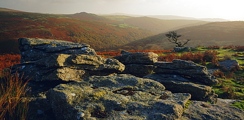 Combestone Tor, Dartmoor, Devon, England