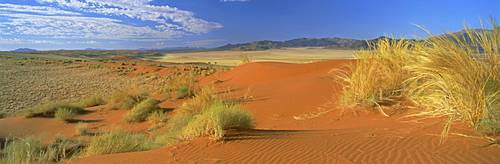 Panoramic view over orange sand dunes towards the mountains, Namib Rand private game reserve, Namibia, Africa