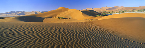 Panoramic view over dunes, Sossusvlei, Namib Naukluft Park, Namib Desert, Namibia, Africa