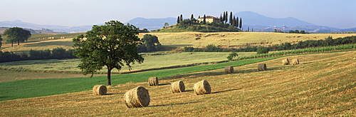 Hay rolls in fields below Belvedere, Val d'Orcia, San Quirico d'Orcia, Tuscany, Italy, Europe