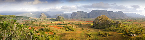 Panoramic view of the Vinales Valley showing limestone hills known as Mogotes, Vinales, UNESCO World Heritage Site, Cuba, West Indies, Central America