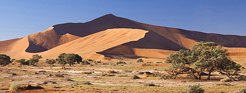 Panoramic view of the Ancient orange sand dunes of the Namib Desert at Sossusvlei, near Sesriem, Namib Naukluft Park, Namibia, Africa