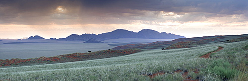 Panoramic view at dusk over the magnificent landscape of the Namib Rand game reserve, Namib Naukluft Park, Namibia, Africa