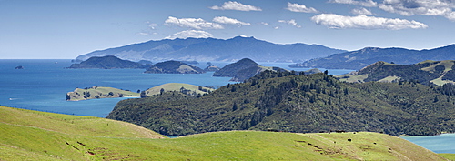 Looking north from lookout, South of Manaia, State Highway 25, Coromandel Harbour, Coromandel Peninsula, North Island, New Zealand, Pacific