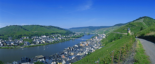 Zell, Mosel Valley, Rheinland Pflaz, Germany, Europe