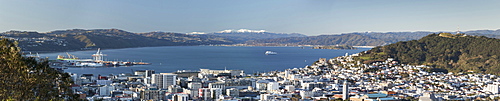 Wellington City, Harbour and Tararua Ranges, North Island, New Zealand, Pacific