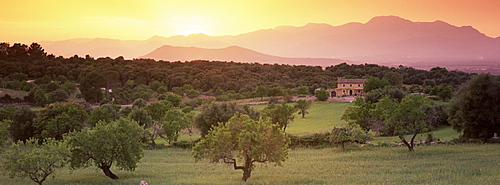 View towards Sierra de Tramuntana (Serra de Tramuntana) mountains, near Muro, Majorca, Balearic Islands, Spain, Europe