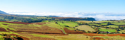 A panoramic landscape view near Hay Bluff, Powys, Wales, United Kingdom, Europe