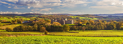 Raglan Castle, Monmouthshire, Wales, United Kingdom, Europe 