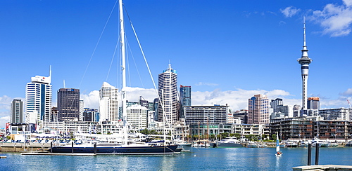 Viaduct Harbour waterfront area and Auckland Marina, Auckland skyline, Sky Tower, Auckland, North Island, New Zealand, Pacific