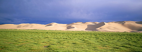 Khongryn dunes, Gobi desert, Gobi National Park, Omnogov province, Mongolia, Central Asia, Asia