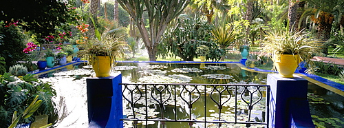 Majorelle Gardens, Marrakech (Marrakesh), Morocco, North Africa, Africa