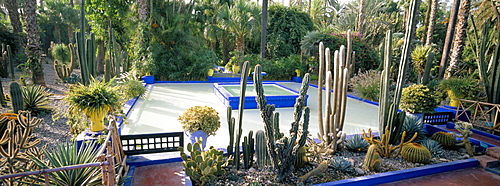 Majorelle Gardens, Marrakech (Marrakesh), Morocco, North Africa, Africa