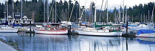 Stanley Park Yacht Harbour, Vancouver, Canada