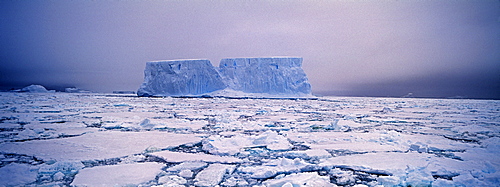 Icebergs and pack ice in the Weddell Sea, Antarctica, Polar Regions