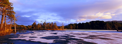 Panoramic view, Loch Mallachie, Speyside, Scotland, UK, Europe