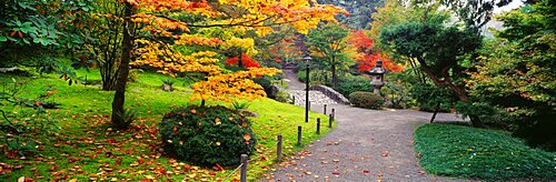 Japanese Garden Seattle WA