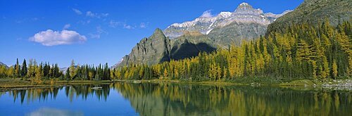 Opabin Lake w/ Wiwaxy Peaks Yoho National Park British Columbia Canada