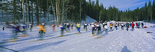 Cross country ski racers Canmore Alberta Canada