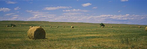 Hay bales in a field, Sundance, Idaho, USA