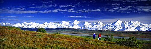 Hiking Alaska Range Denali National Park AK USA