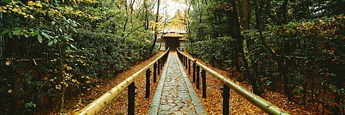 Path leading to a temple, Kyoto, Honshu, Japan