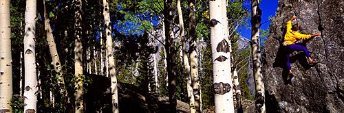 Climber Aspens Grand Teton National Park WY USA