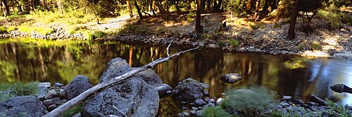 Bare tree lying on stones, Merced River, Californian Sierra Nevada, California, USA