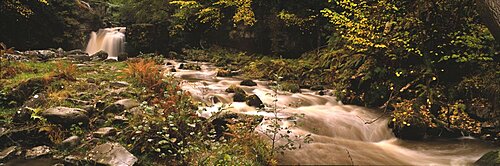 Stream flowing through a landscape, Thomason Foss, Goathland, North Yorkshire, England