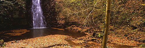 Waterfall in a forest, Falling Foss, Whitby, England