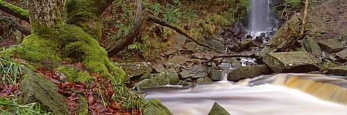 Stream flowing through a forest, Mallyan Spout, Goathland, Whitby, North Yorkshire, England