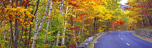 Park Loop Road Acadia National Park ME