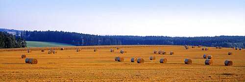 Hay bales in a field, Bohemia, Czech Republic