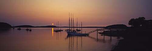 Sailboat in the sea, Bar Harbor, Mt. Desert Island, Maine, USA