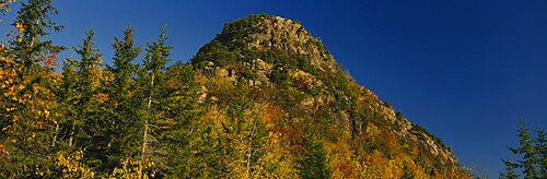 Low angle view of a hill, Acadia National Park, Hancock County, Maine, USA