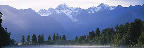 Trees in front of lake, Lake Matheson, Westland National Park, South Island New Zealand, New Zealand