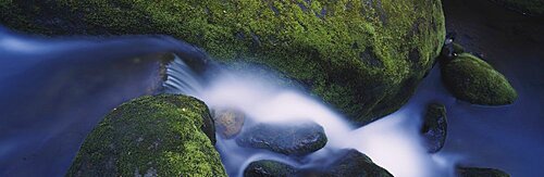 High angle view of a waterfall, Great Smoky Mountains National Park, Tennessee, USA