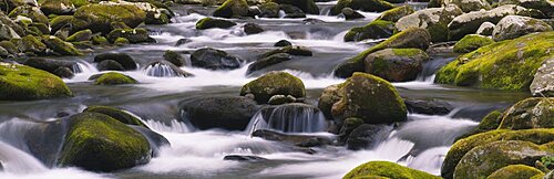 Rocks in a river, Great Smoky Mountains National Park, Tennessee, USA