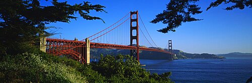 Suspension bridge across a bay, Golden Gate Bridge, San Francisco, California, USA