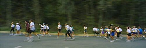 Group of people running in a marathon, Banff National Park, Alberta, Canada